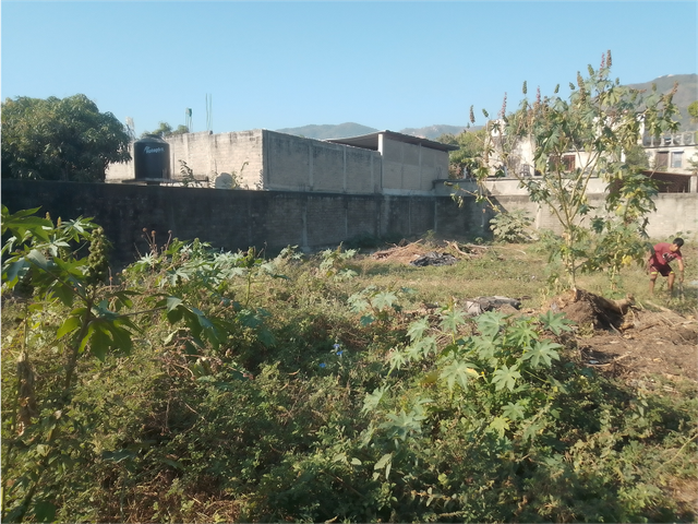 place photo 9