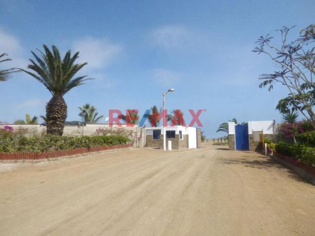place photo 17