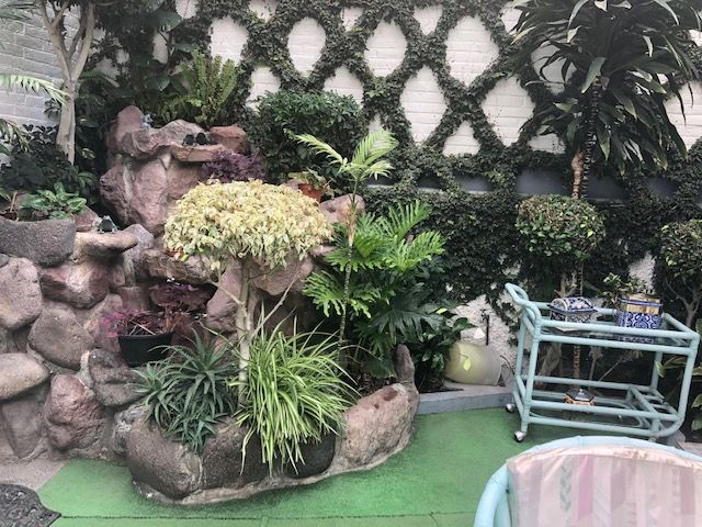 place photo 24