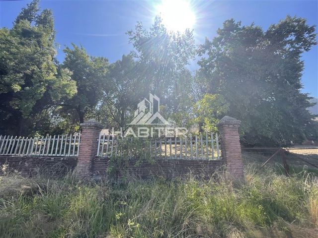 place photo 35