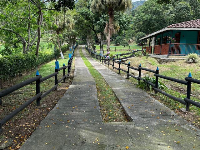 place photo 29