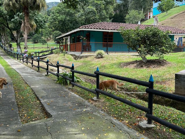 place photo 27