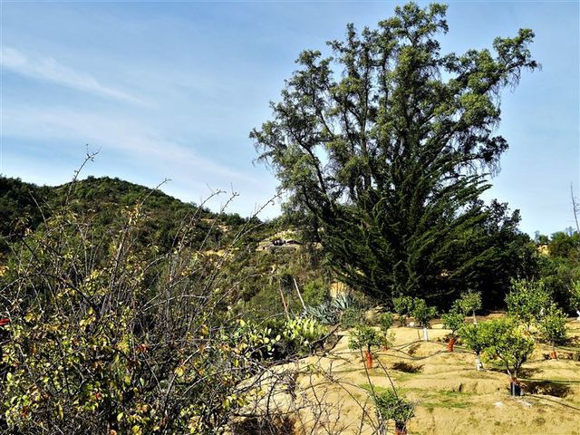 place photo 33