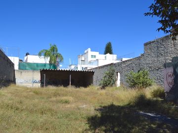 place photo 11