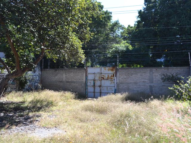 place photo 18