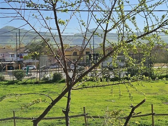 place photo 51