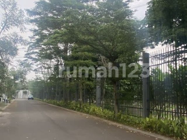 place photo 37