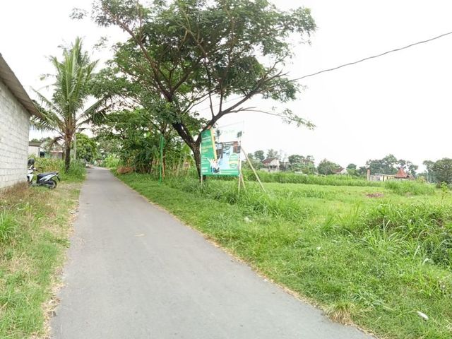 place photo 6