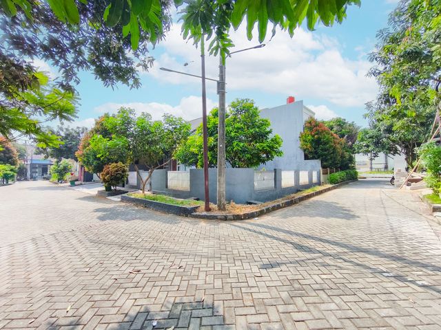 place photo 29