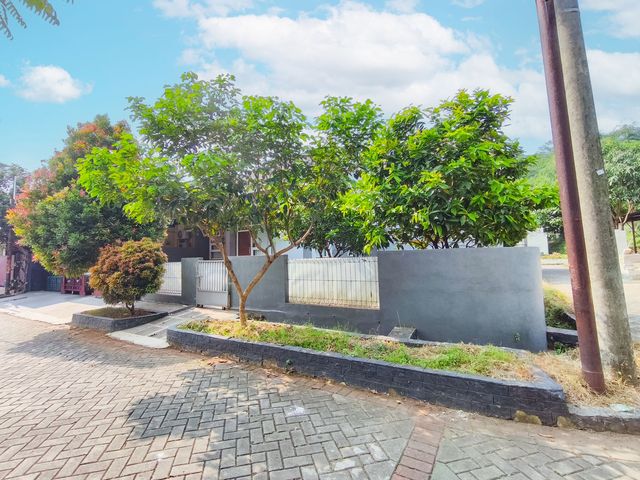 place photo 28