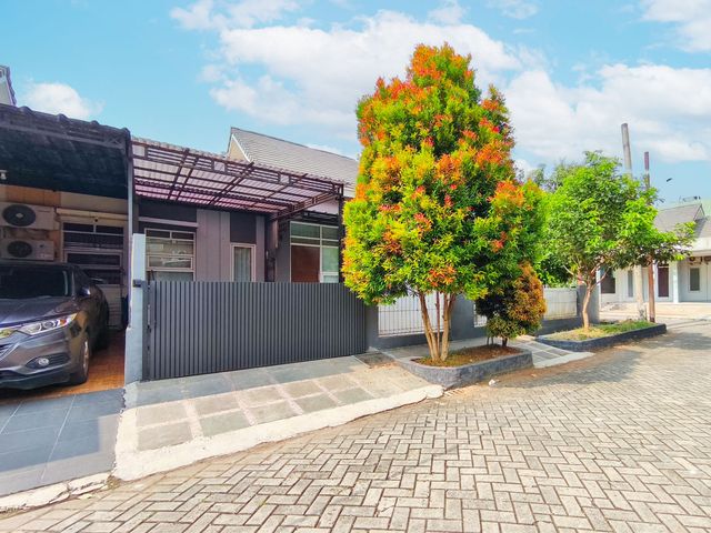place photo 30