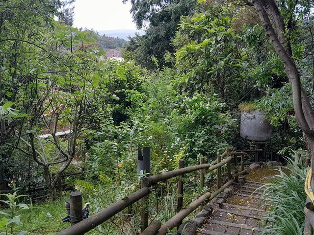 place photo 44