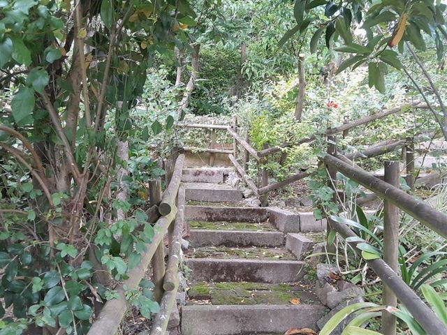 place photo 43
