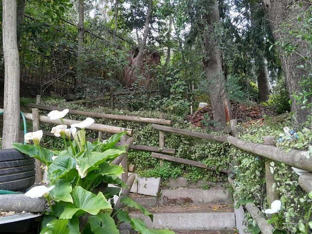 place photo 45