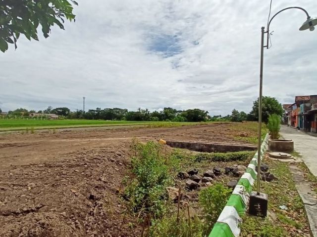 place photo 3