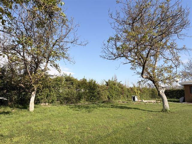 place photo 21