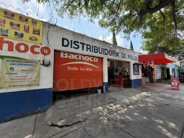 place photo 12