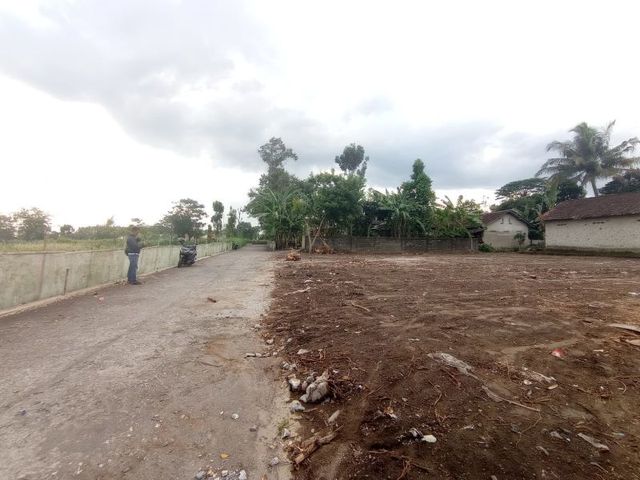 place photo 3