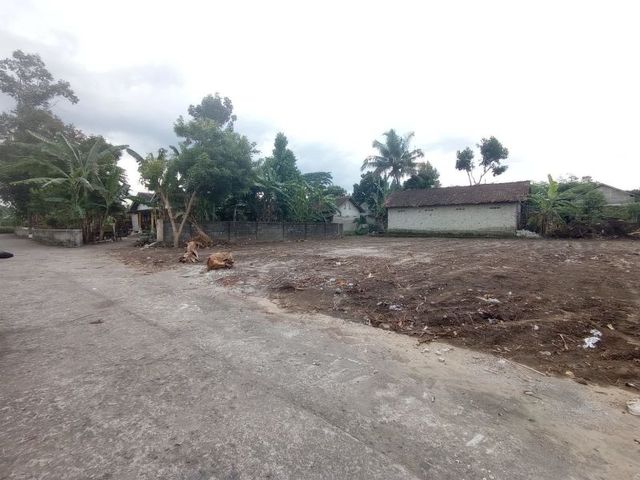 place photo 4