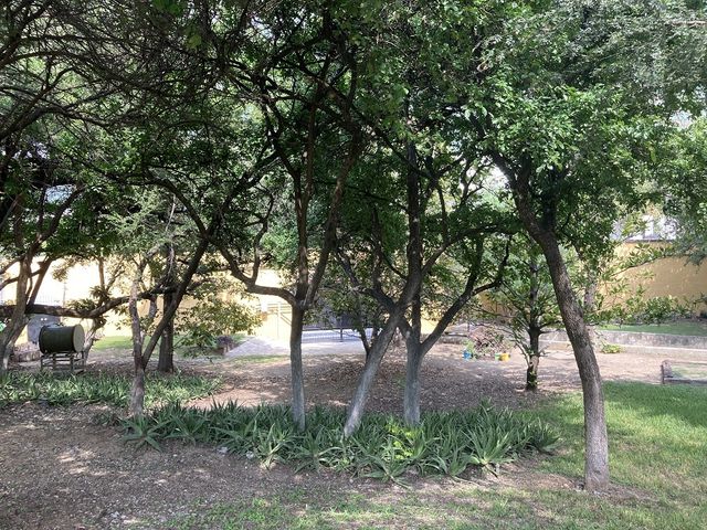 place photo 38