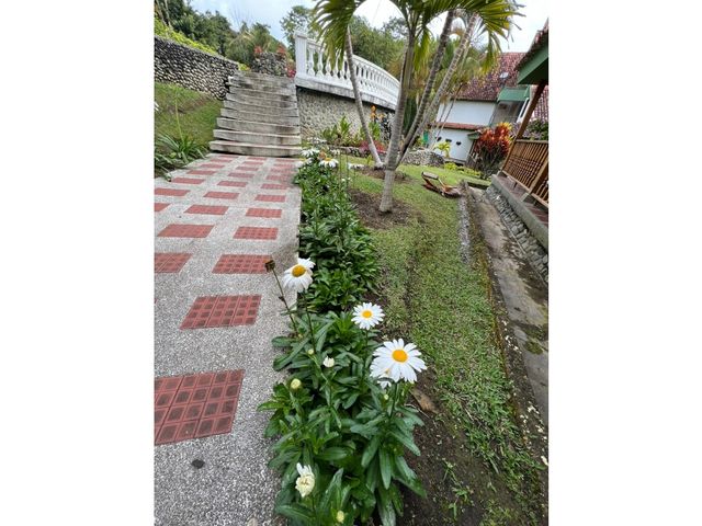 place photo 38