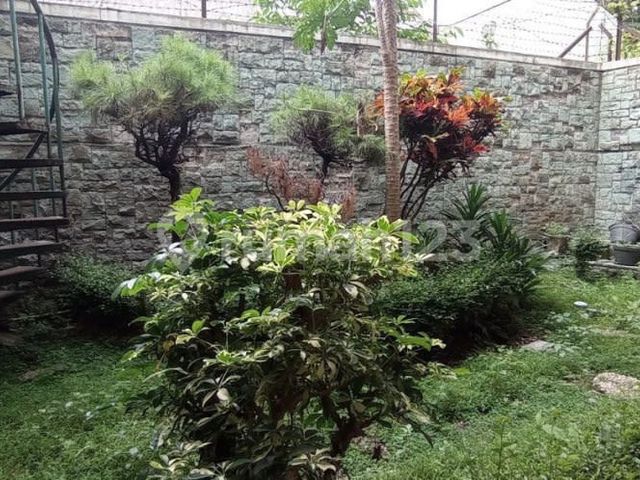 place photo 11