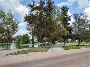 place photo 38