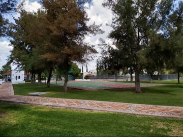 place photo 39