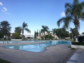 place photo 42