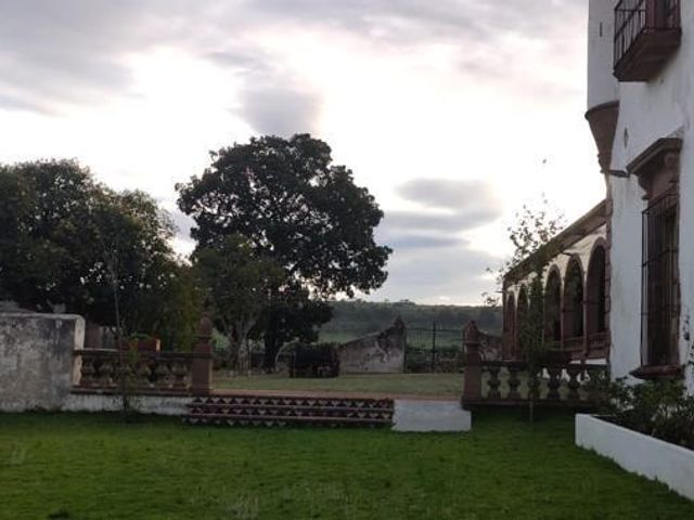 place photo 37