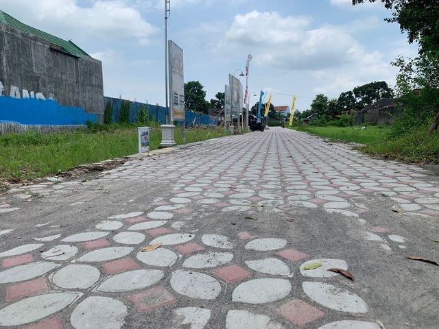 place photo 4