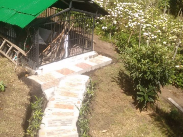 place photo 15