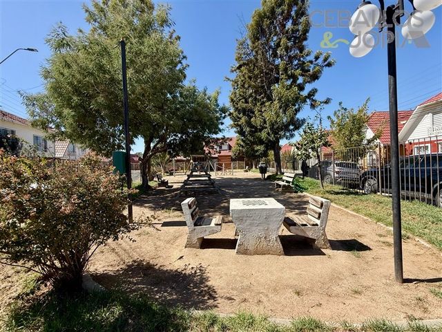 place photo 28