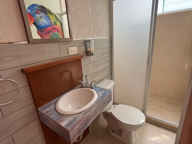 place photo 14