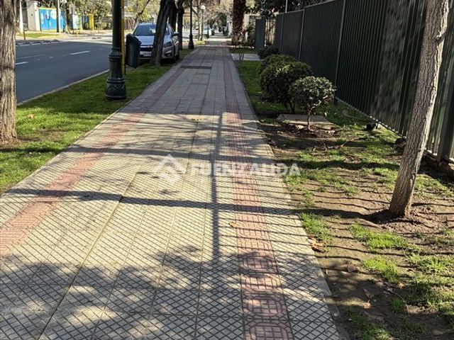 place photo 41