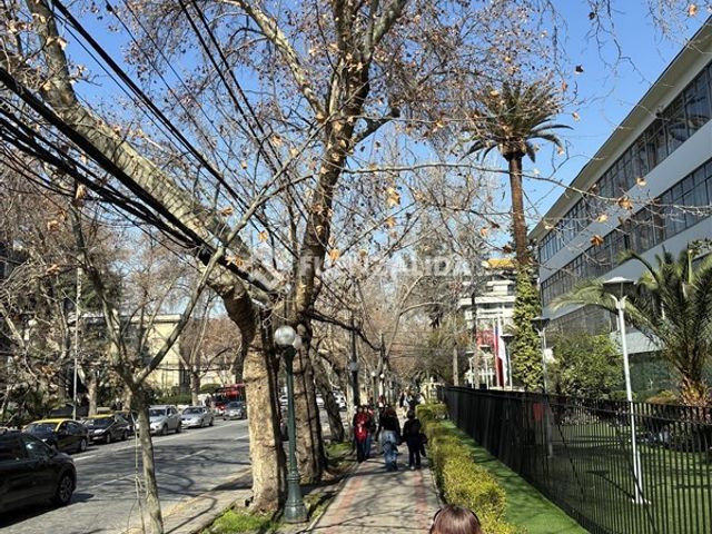 place photo 40