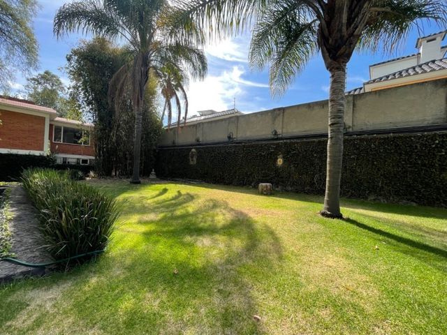 place photo 42