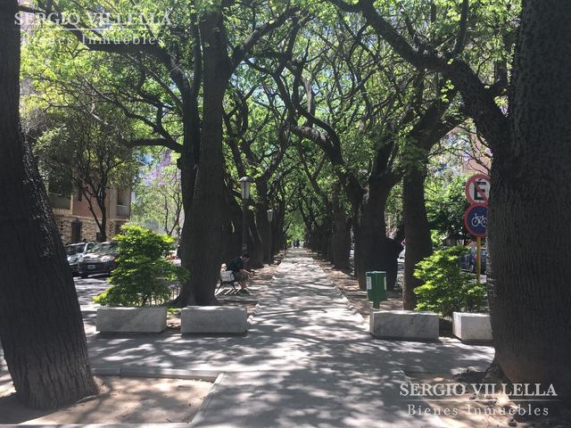 place photo 54