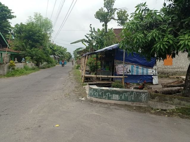 place photo 5