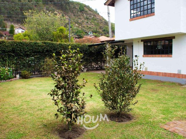 place photo 81