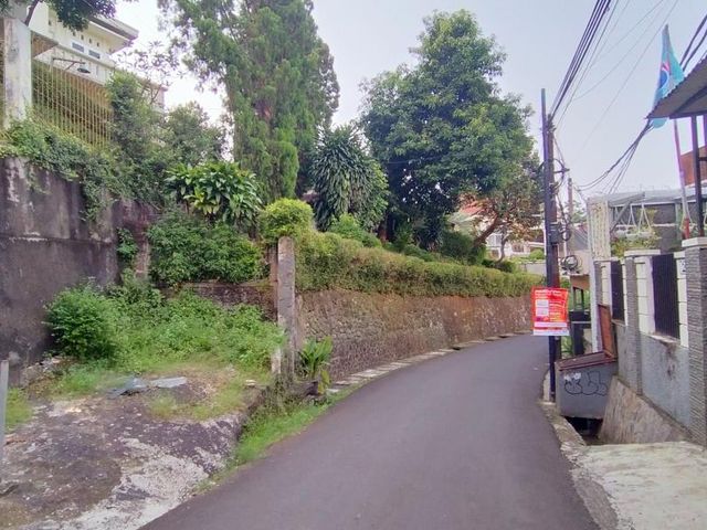 place photo 18