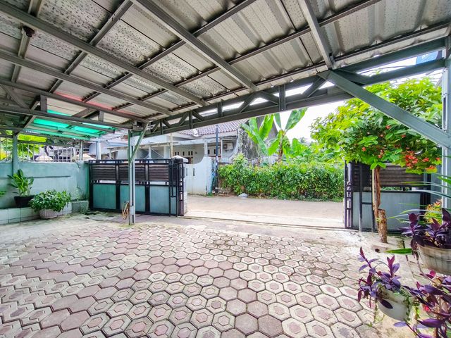 place photo 52