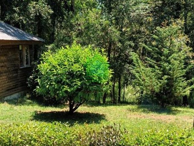 place photo 43