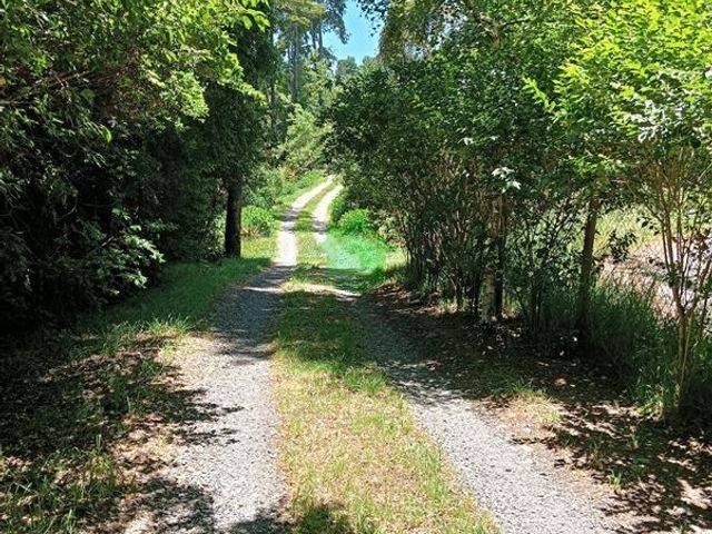 place photo 39