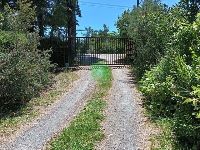 place photo 37