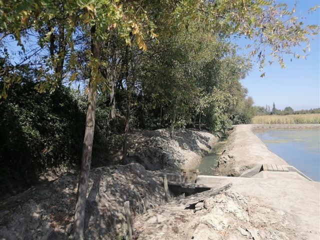 place photo 25