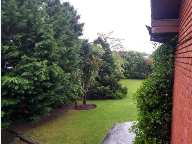place photo 18