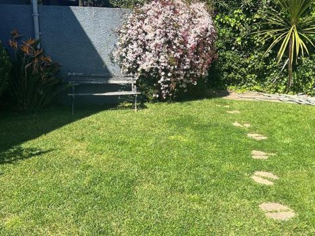 place photo 41