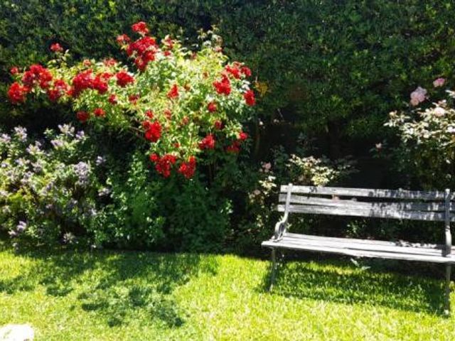 place photo 42