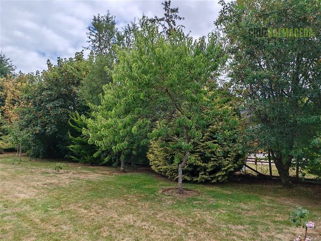 place photo 46